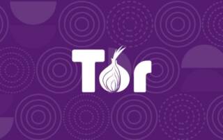 TOR onion logo design