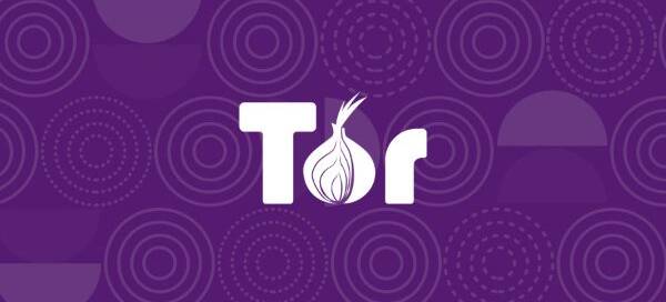 TOR onion logo design
